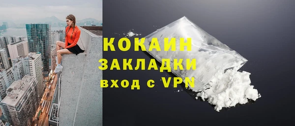 молекула духа Михайлов