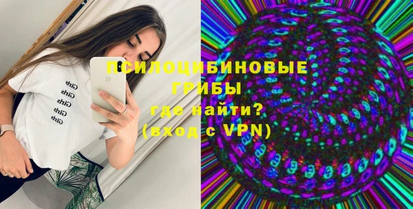 молекула духа Михайлов
