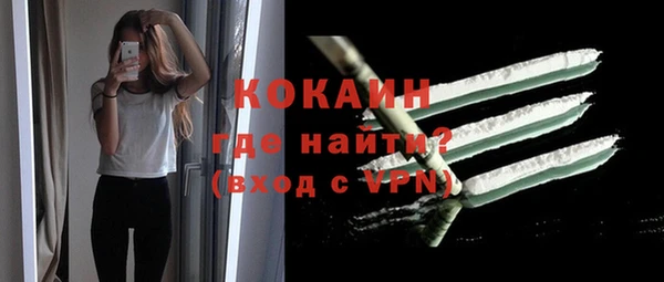 молекула духа Михайлов
