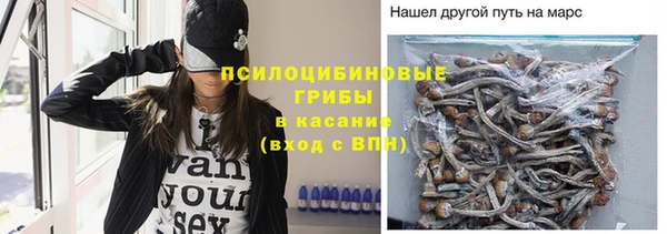 молекула духа Михайлов