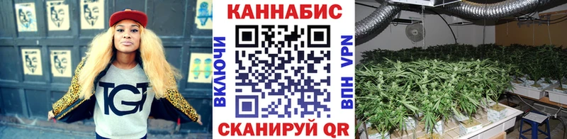 Каннабис MAZAR  Купить закладки  Дубовка 